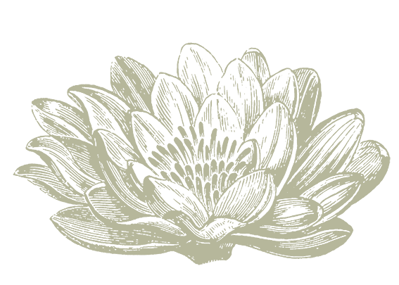 Decorazione Gelsomino